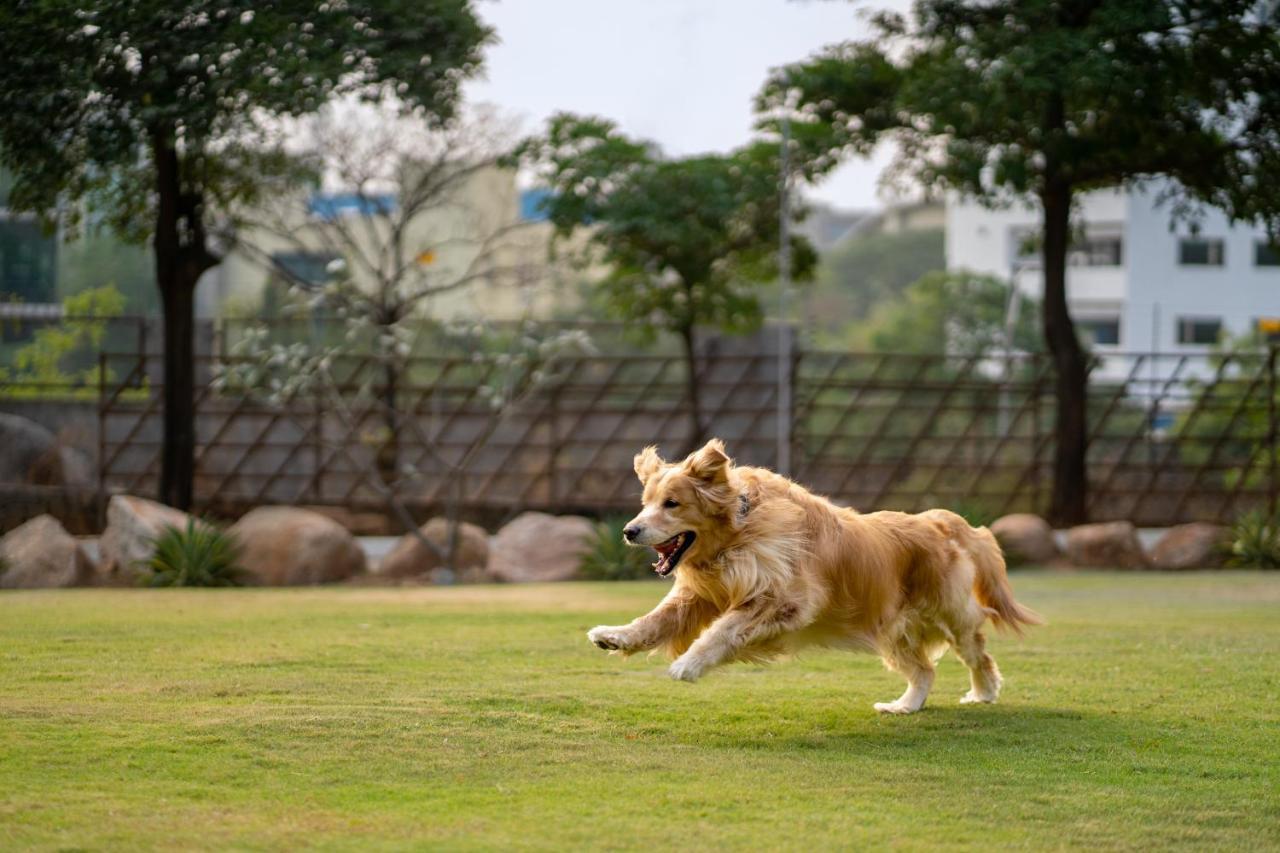 Отель Hyatt Hyderabad Gachibowli Экстерьер фото